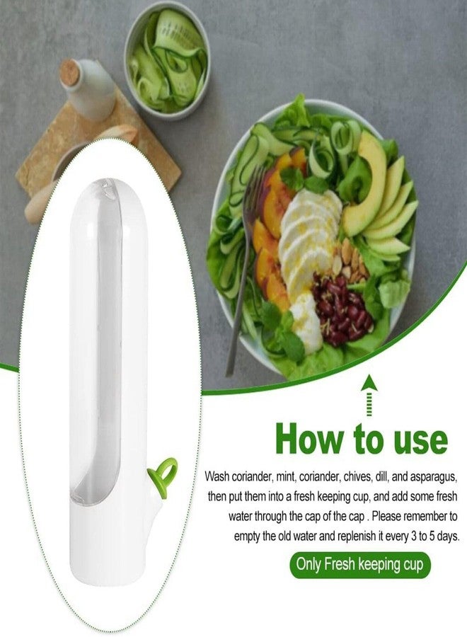 LinaLife Kitchen Herb Saver Keeper Cup Fresh Produce Refrigerator Herbs Storage Container Herb Storage for Cilantro,Parsley, Asparagus,Keeps Vegetables Fresh for 2-3 Week - Image 3